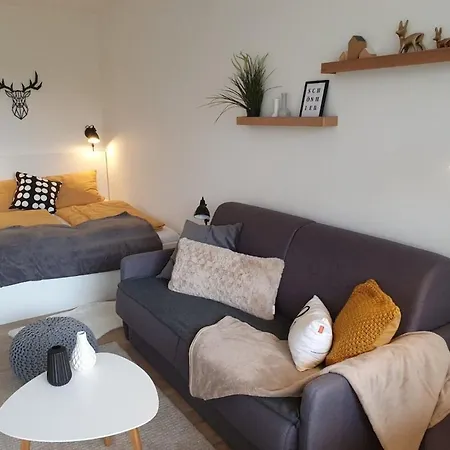 Apartment Am Kranichsee - Hahnenklee Im Harz Goslar